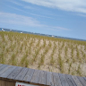 Meet your Posher, Daniela